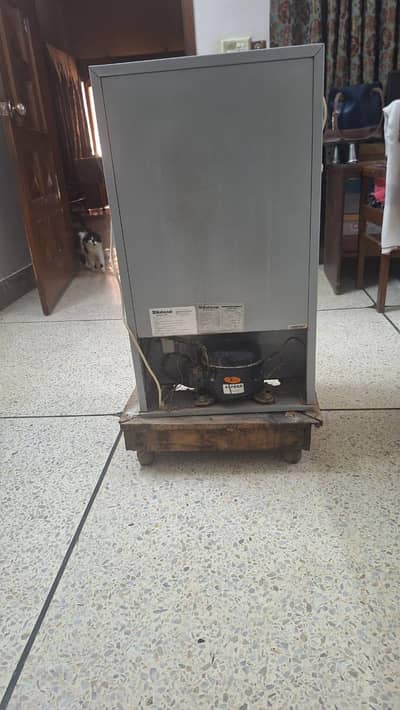 GABA national