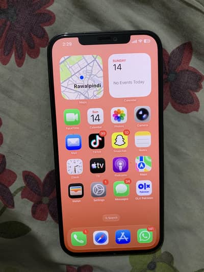 iPhone 12PM 128GB • FU • SIM WORKING • EXCHANGE POSSIBLE