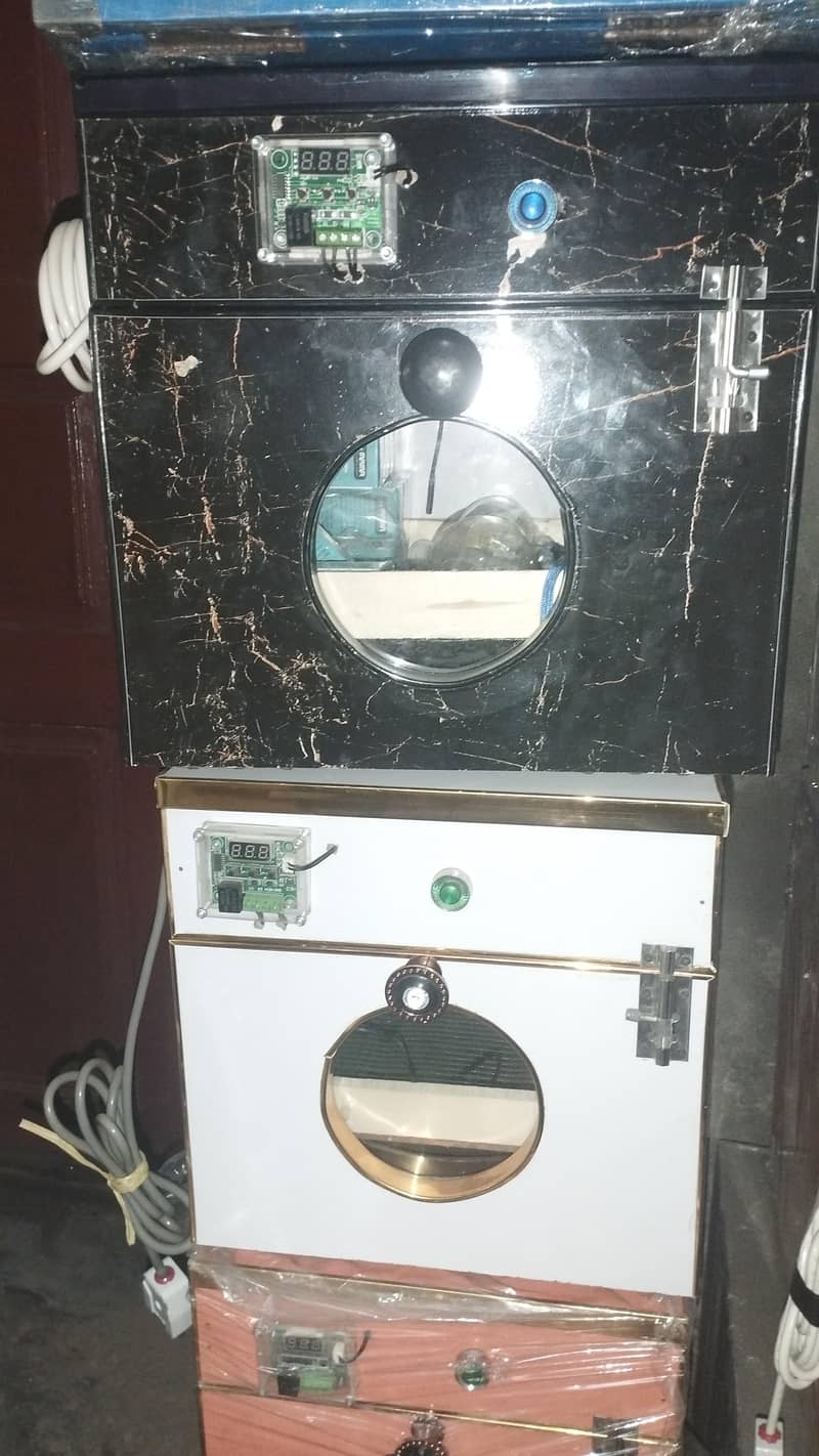 incubator 6