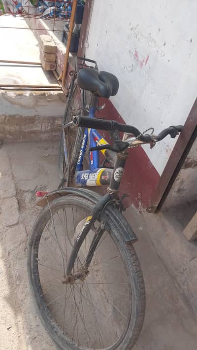 cycle