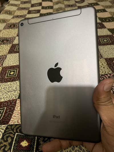 IPAD Mini 5 64gb Sim Working