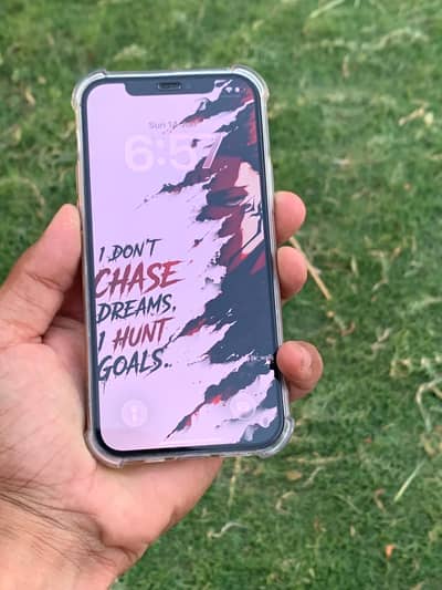 Apple iPhone 12 faictory unlock 10/10 exchange possible