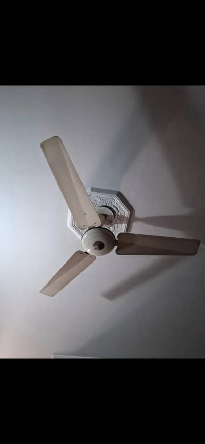 pak fan
