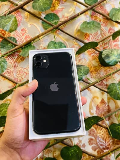 Apple iPhone 11