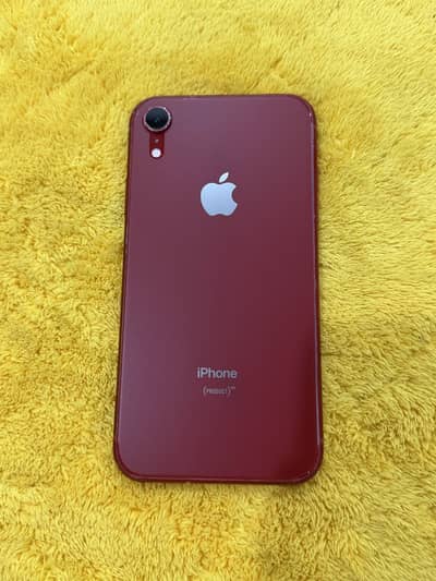 iPhone XR 128GB PTA Approved