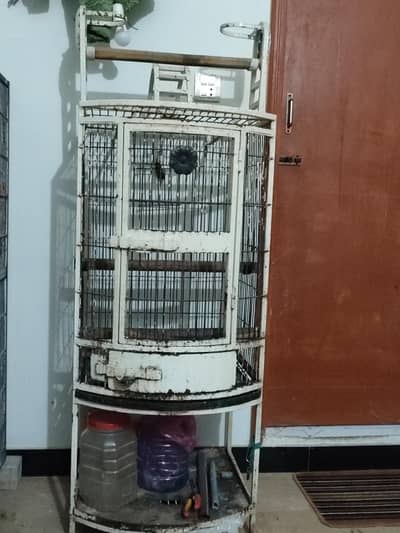 Grey Parrot Heavy Fancy Cage