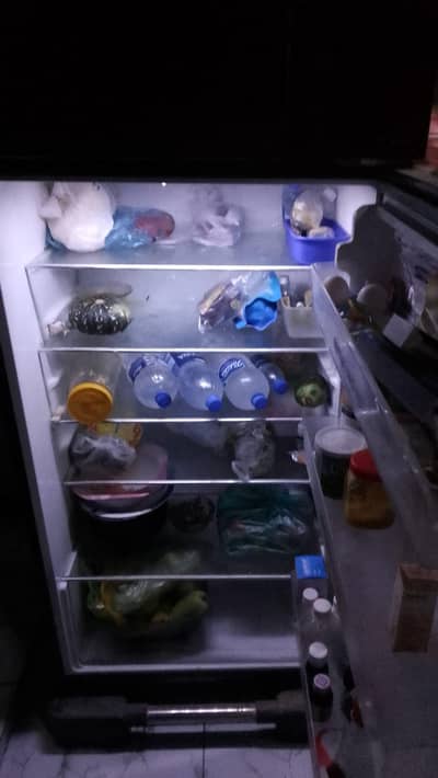 Hair Refrigerator