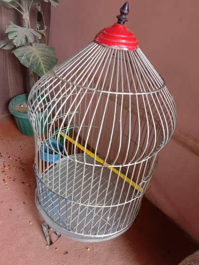 ringneck parrot Cage