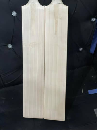 Can a cricket bat be too beautiful?