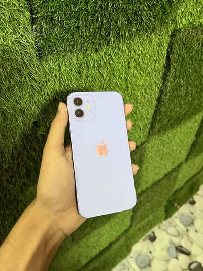 Apple iPhone 12 jv