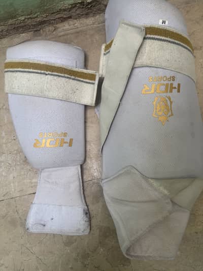 Cricket kit