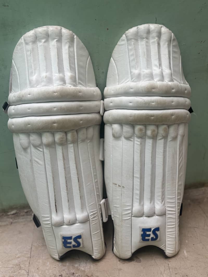 Cricket kit 2