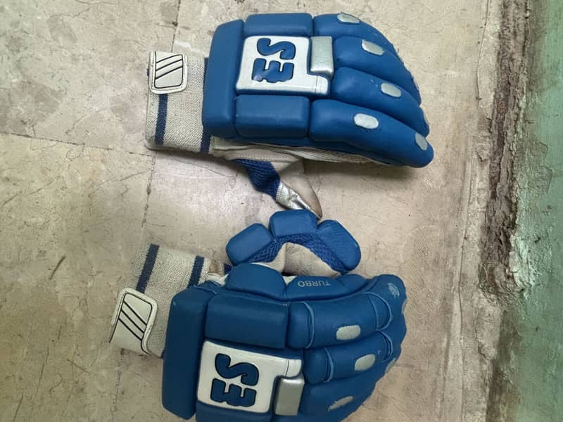 Cricket kit 5