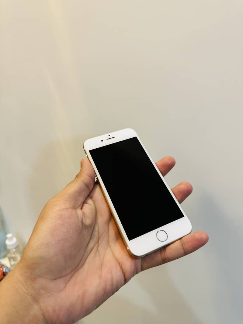iPhone 6 1