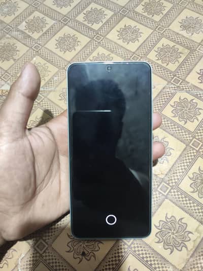 Xiaomi 13T Pro 12/256