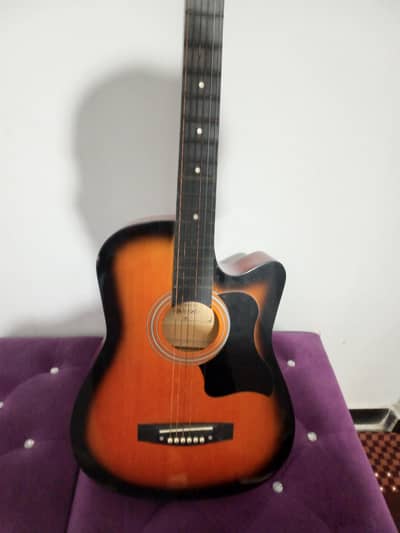 sparrow guitar with truss rod