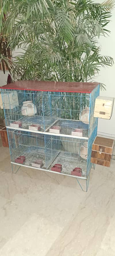 Cage for birds