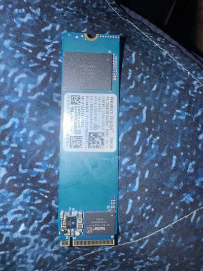 256gb NVME SSD western digital