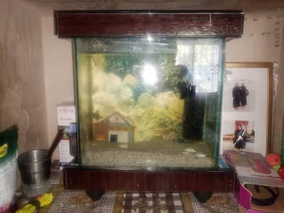 MEDIUM SIZE fish tank/Aquarium WITH TROPICAL FISH and OXYGEN FILTER