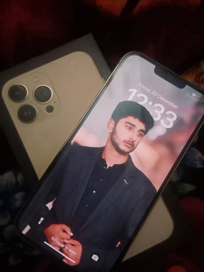 Apple iPhone 13 Pro Max
