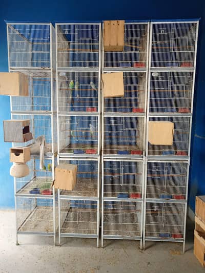 6 cages front box option