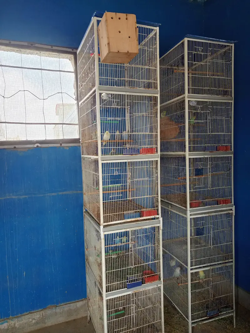 6 cages front box option — photo 2