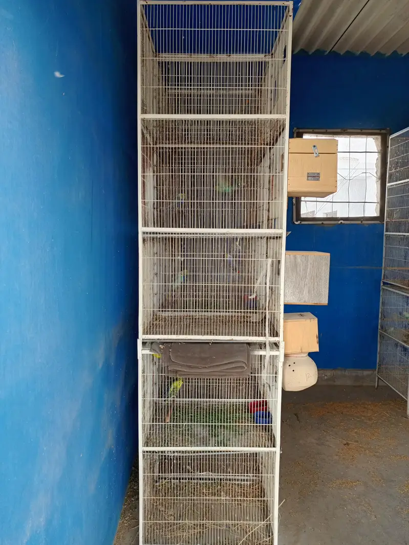 6 cages front box option — photo 3