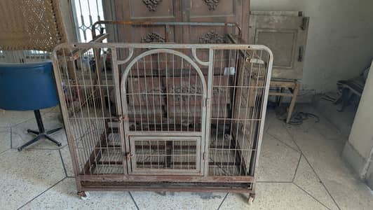 cage for sale