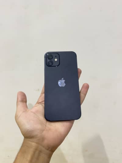Apple iPhone 12