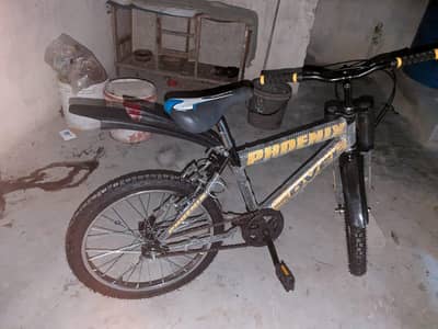 Phoenix imported bicycle