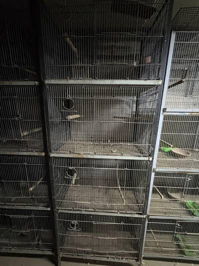 birds cages