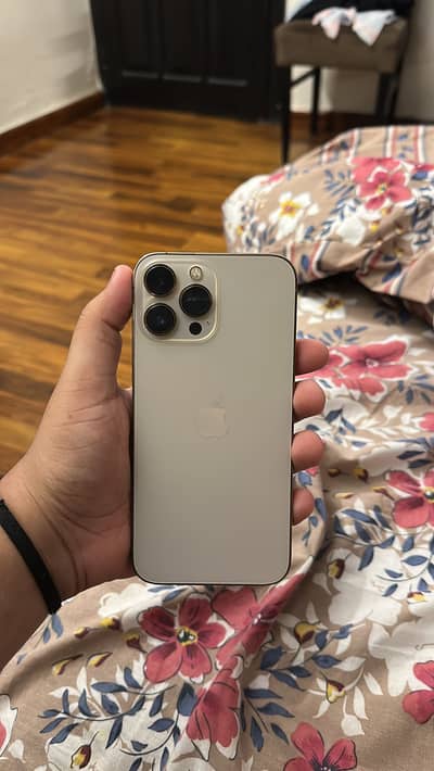 Apple iPhone 13 Pro Max