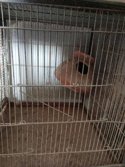 cage pinjra