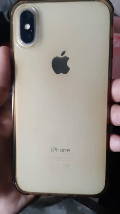 Apple iPhone X