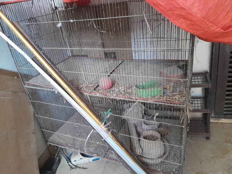 cages 0