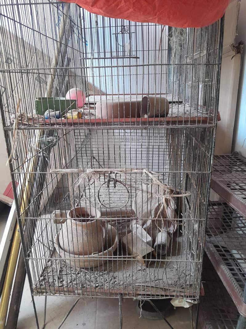 cages 1