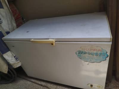 imported freezer