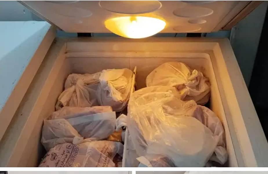 waves Deep freezer 8