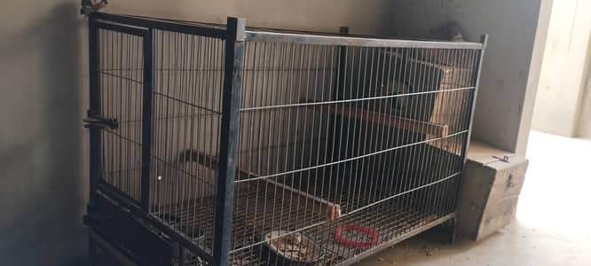 Heavy Gauge Bird Cage for Sale - 4x2.5Feet