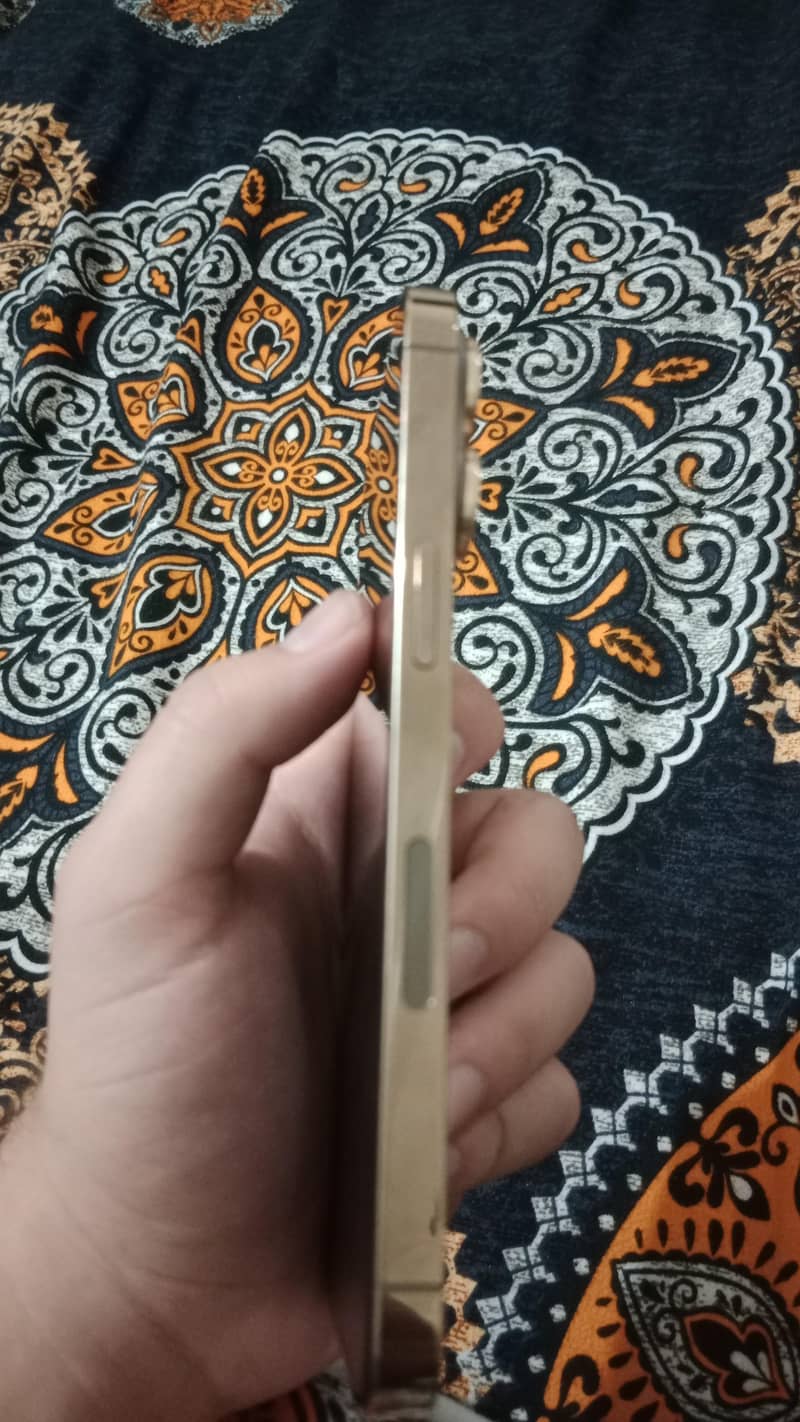 Apple iPhone 13 Pro 2