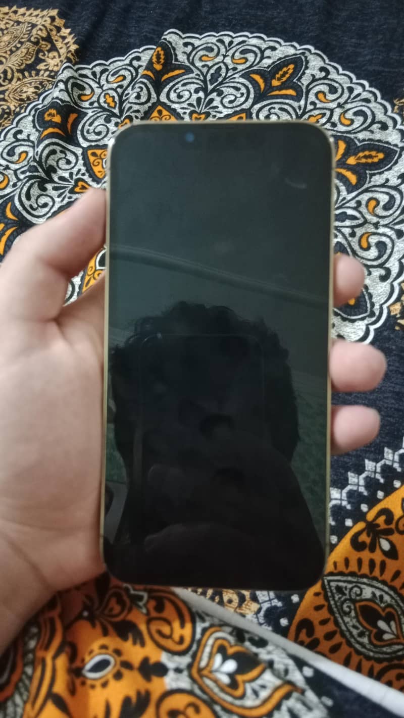 Apple iPhone 13 Pro 3