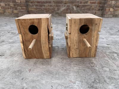 Birds boxes