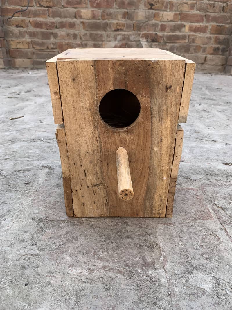 Birds boxes 1