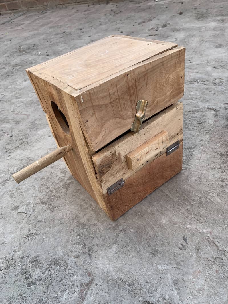 Birds boxes 2