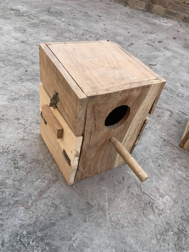 Birds boxes 3