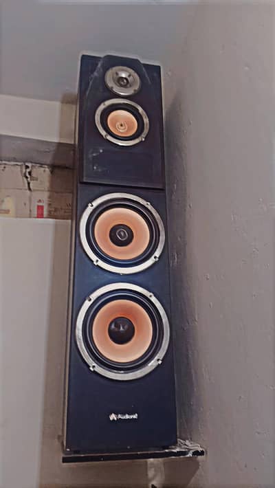 audinoic speaker