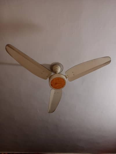 2 Royal Fan Urgent Sale New Design