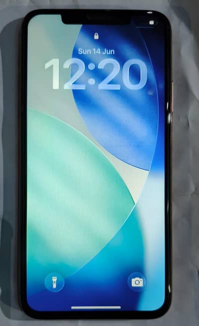 Apple iPhone 11 Pro Max 256 gb all ok panel change