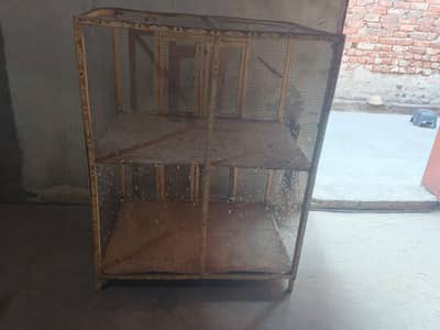 Birds Cage