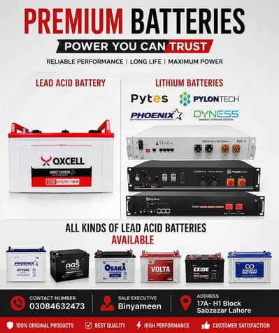 lithium ion battery and Lead acid battery store